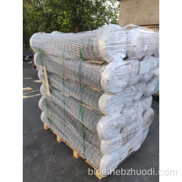 High Quality Galvanized PVC Coated Chain Link Fence